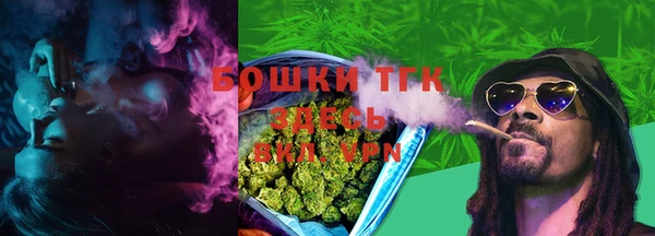 скорость Тайга